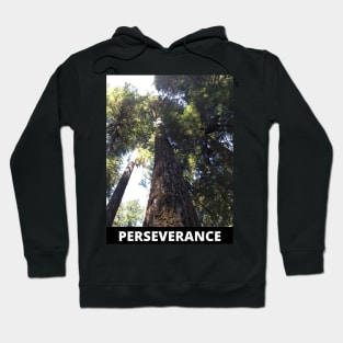 Perseverance motivational photo of giant redwood Hoodie